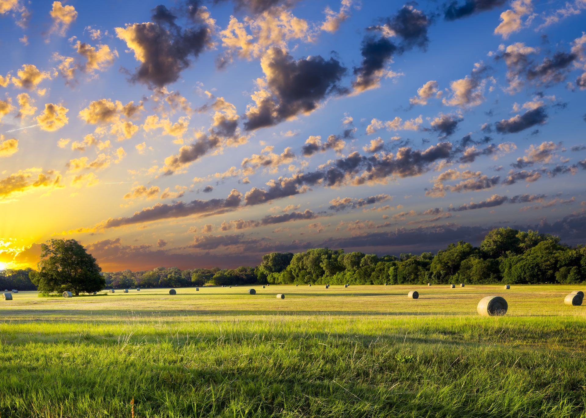 A field of hay bales with a sunset in the background.