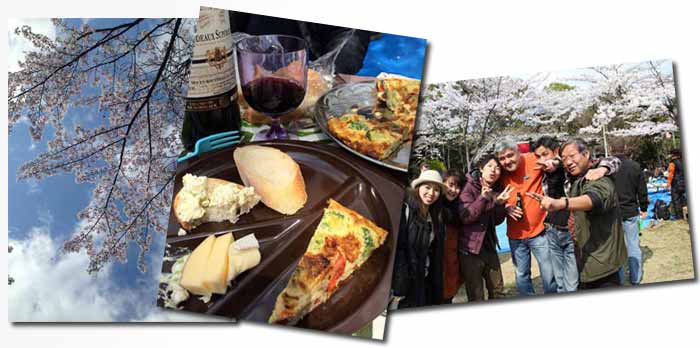 Canadians enjoying a Cherry Blossom Picnic in Mie, Japan.
