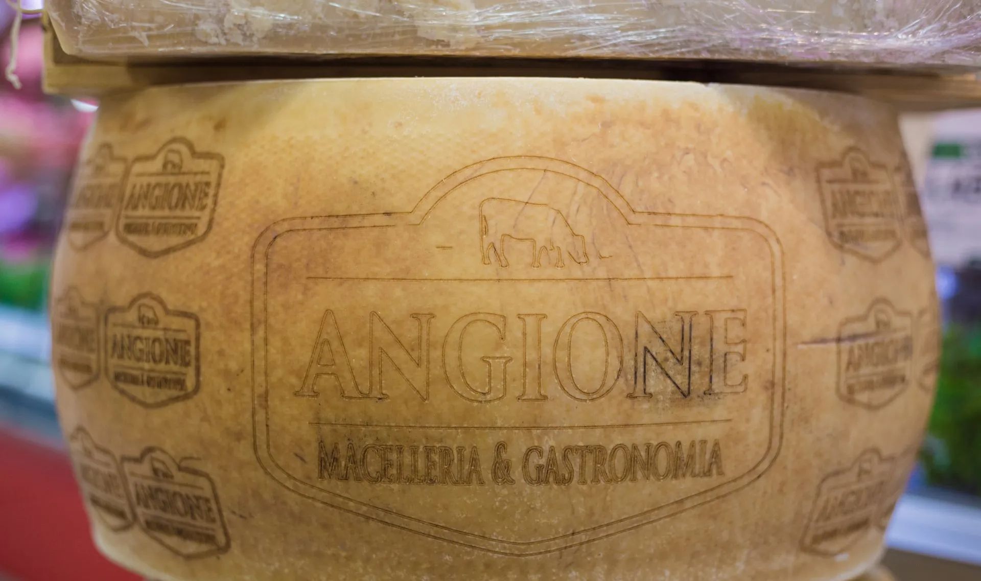parmigiano
