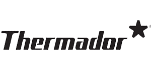 A black and white logo for thermodor with a star.