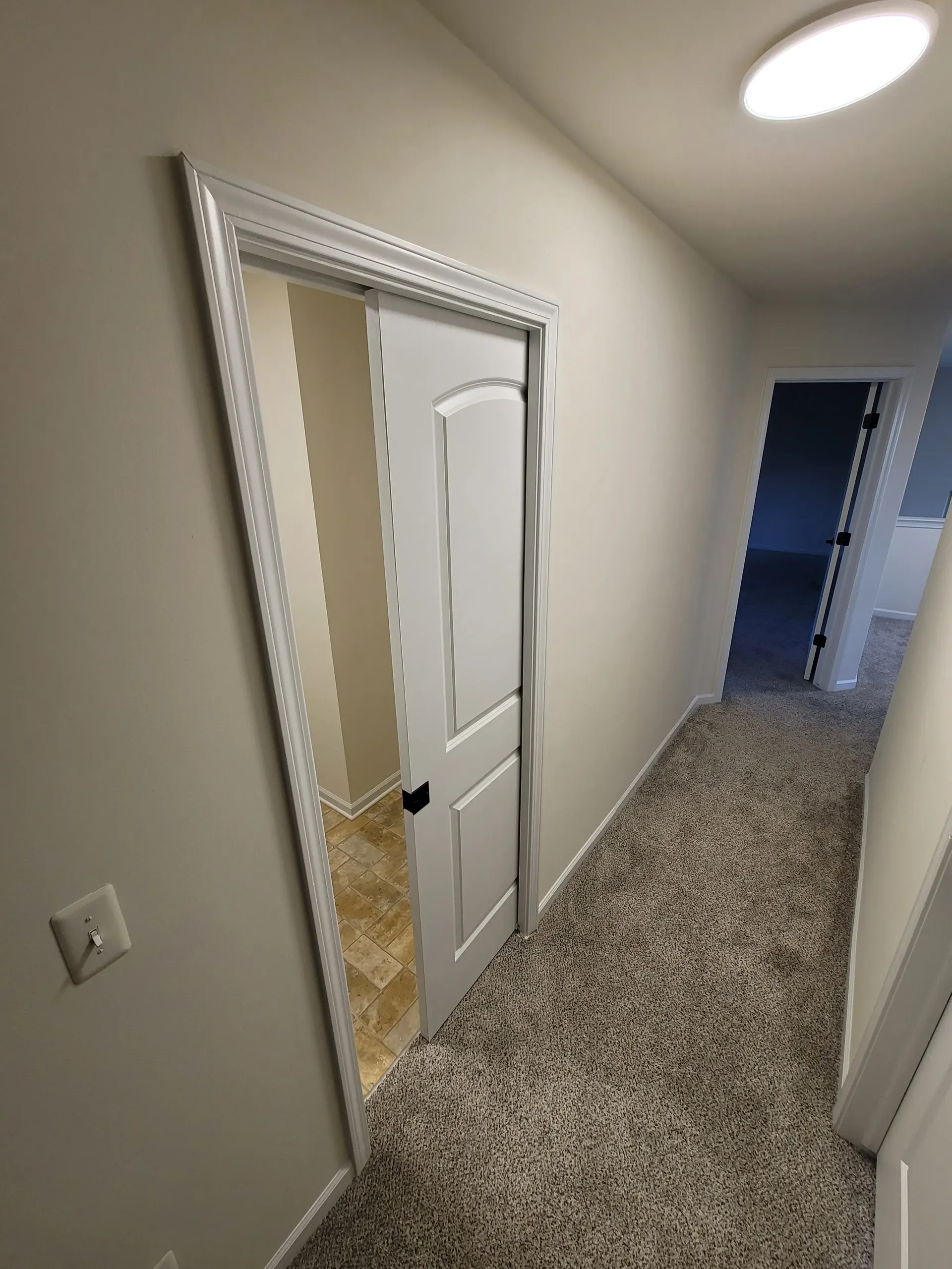 Hallway with white door, light-colored walls, and speckled carpet
