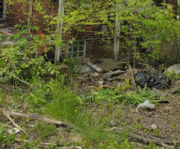 Overgrown abandoned brick building with a small window