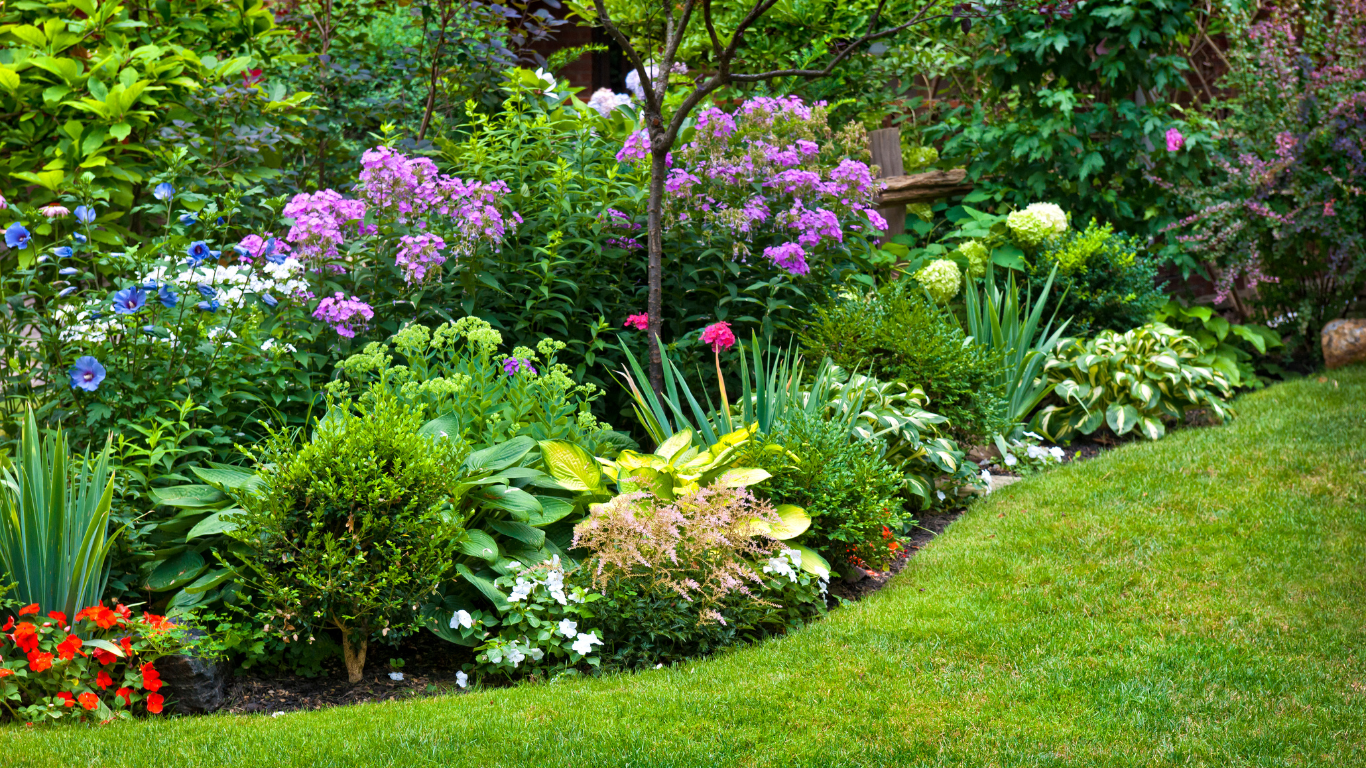 Lush garden bed with vibrant flowers, green shrubs, and a neatly trimmed lawn.