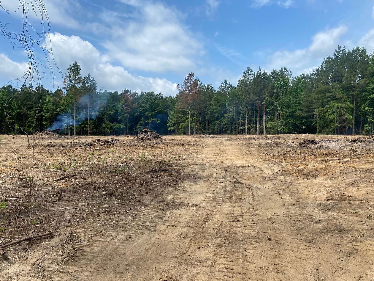 Clearing of land with smoke rising from a small fire; trees and blue sky visible in the background.