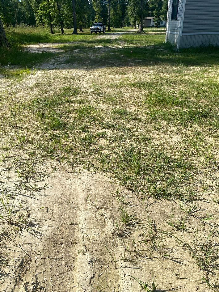 Dirt and grass yard with visible tire tracks, trees in background, and part of a mobile home.