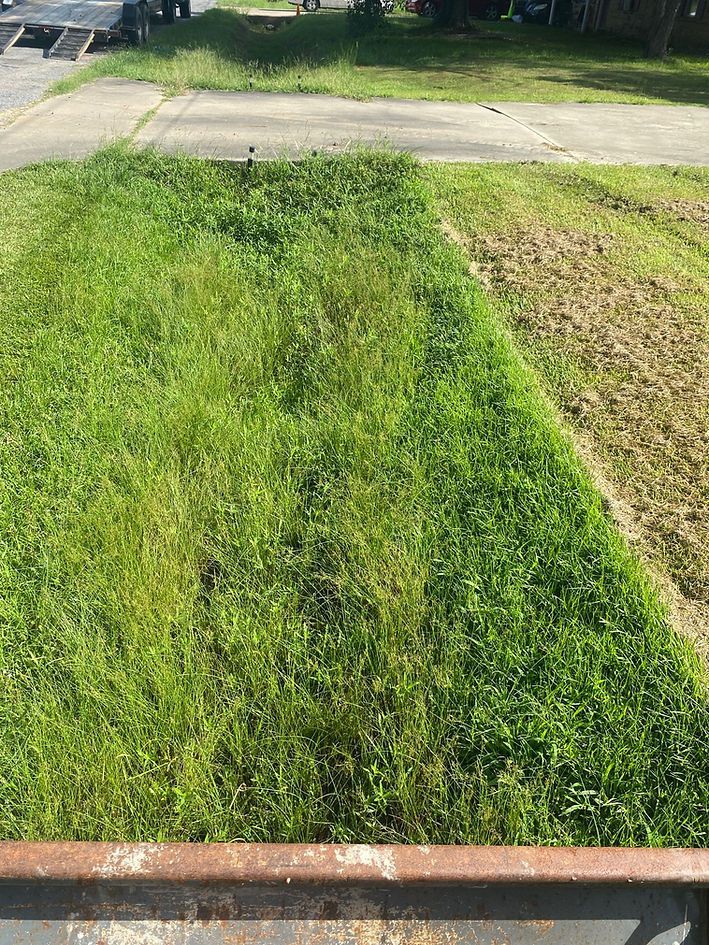 Lush green and brown grass with a clear line of demarcation. Part of the grass has been recently mowed.