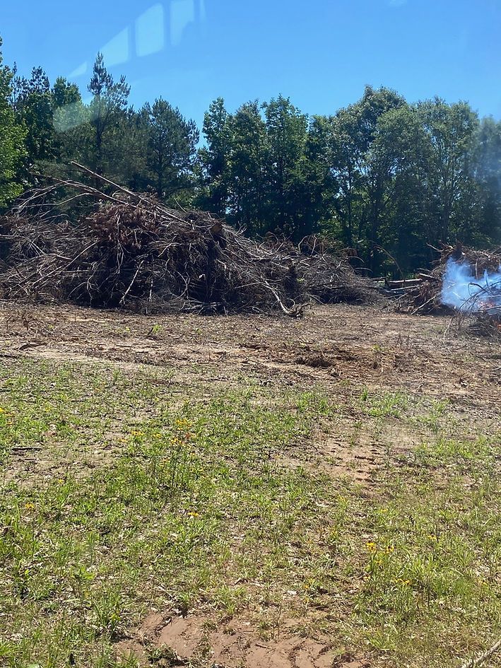 Pile of brush with some burning, in a clearing near a treeline under a blue sky.