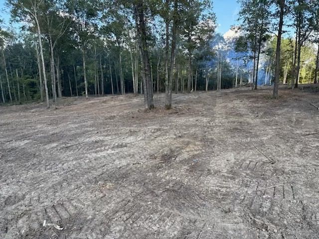 Yellow backhoe removing debris from a cleared area near trees.