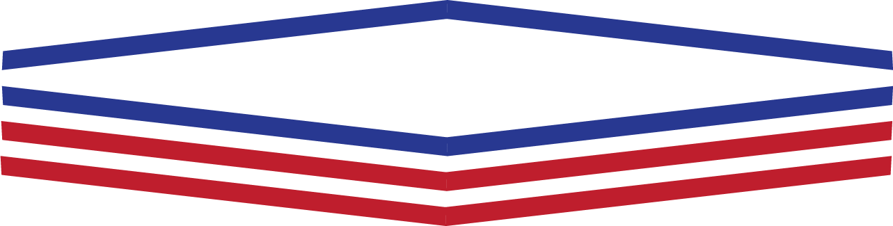 The logo for pmma roofing systems manufactured by americans for america