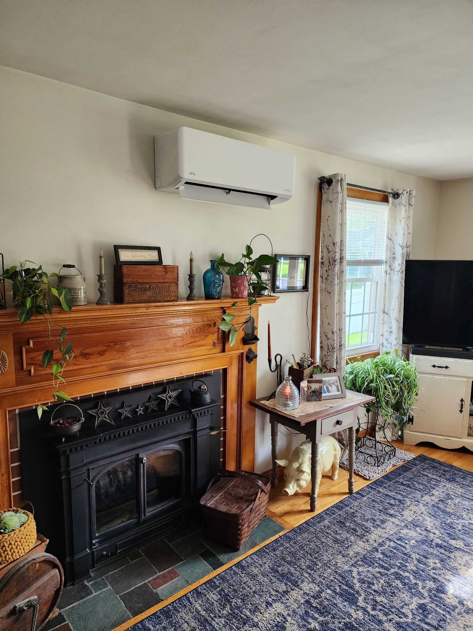 Living room with fireplace, plants, TV, and a wall-mounted air conditioner.