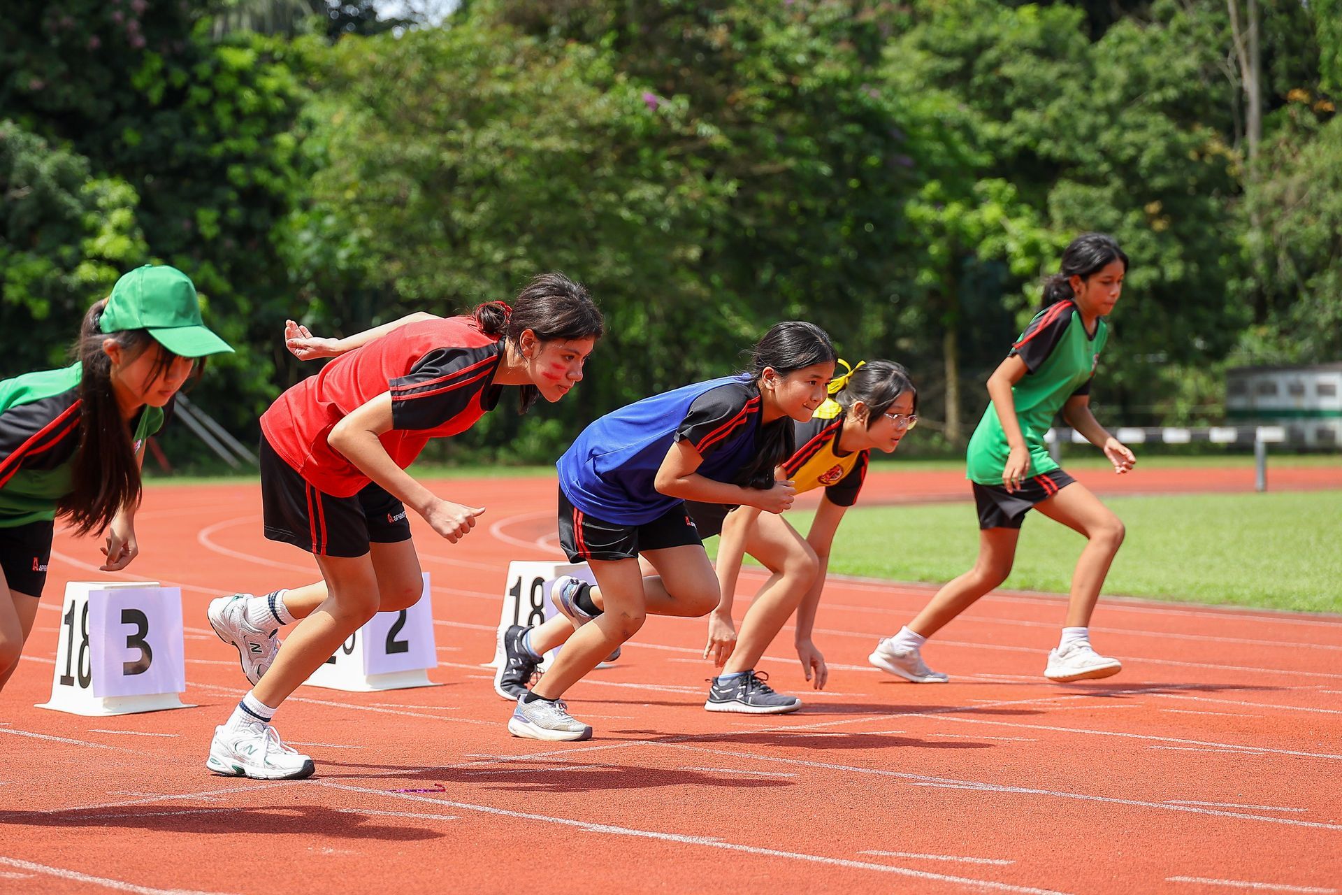 Young athletes at the starting line of a track race, on a red track with green trees in the background.