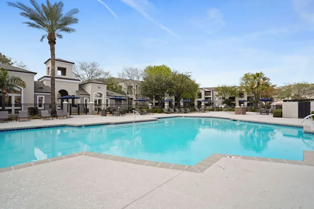Outdoor apartment community pool with lounge chairs, umbrellas, and palm trees.