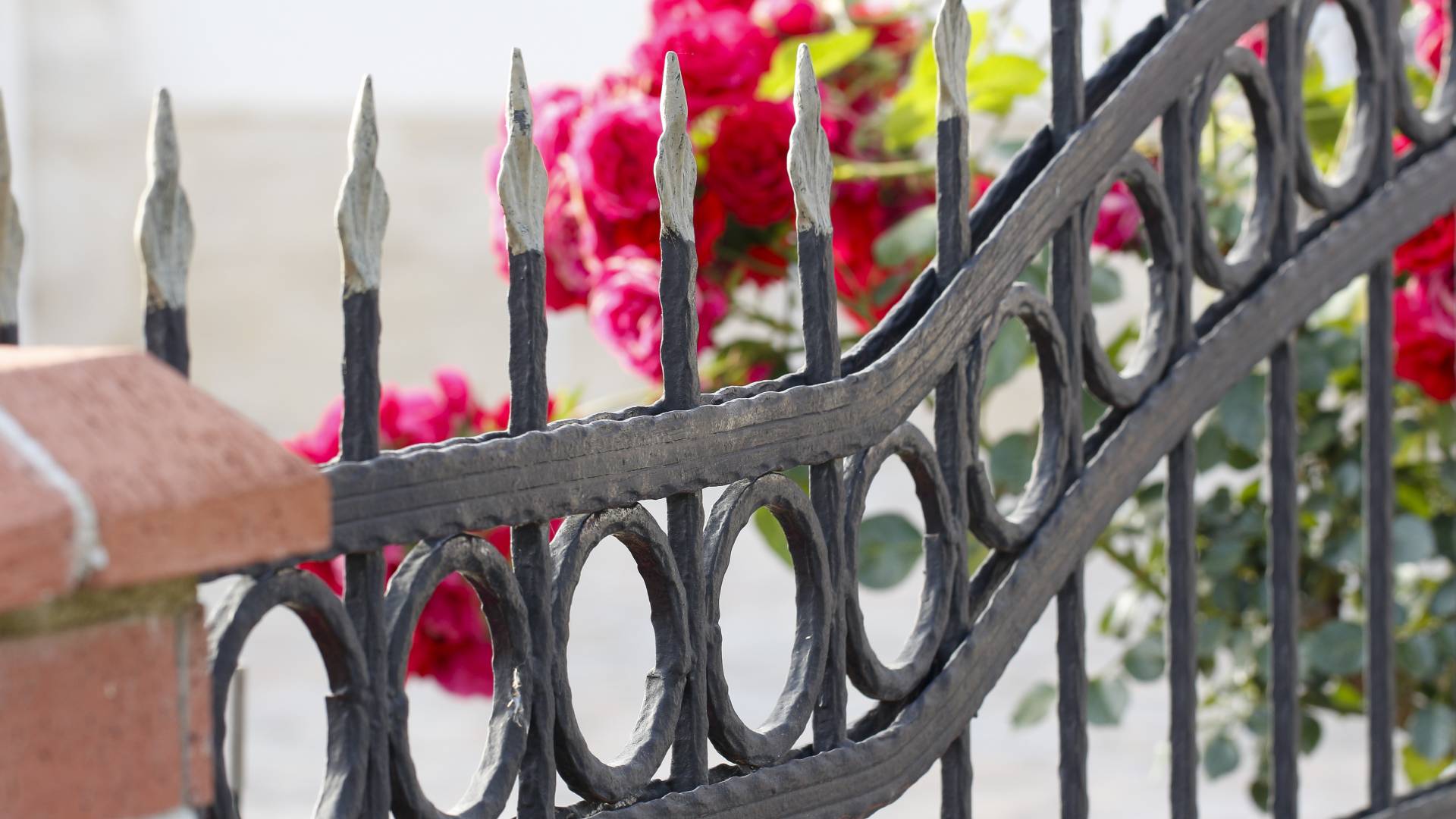 Lavorazione in ferro