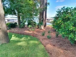 Commercial landscape design and installation in Columbus, GA