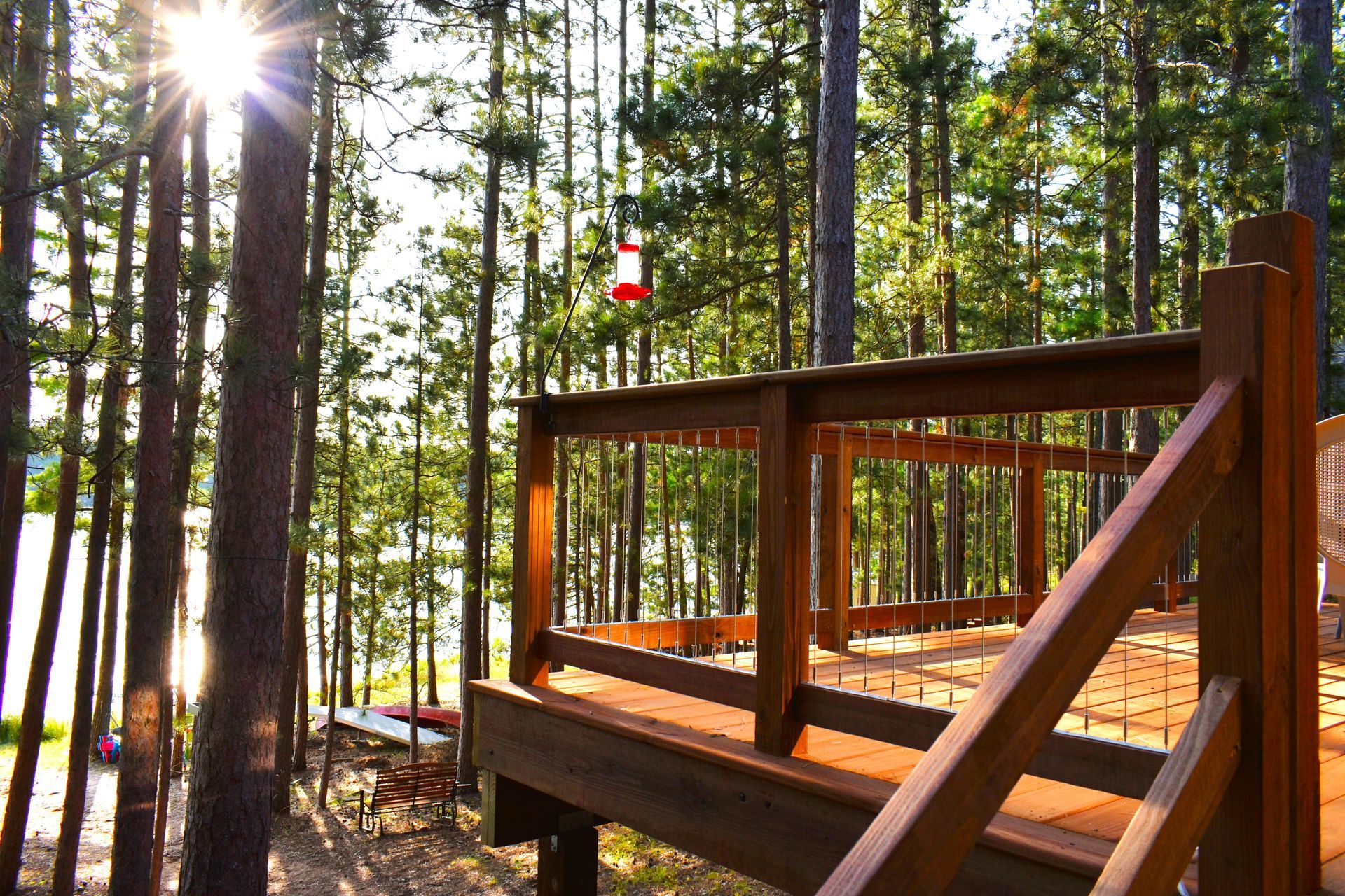 A dome shaped house in the middle of a forest