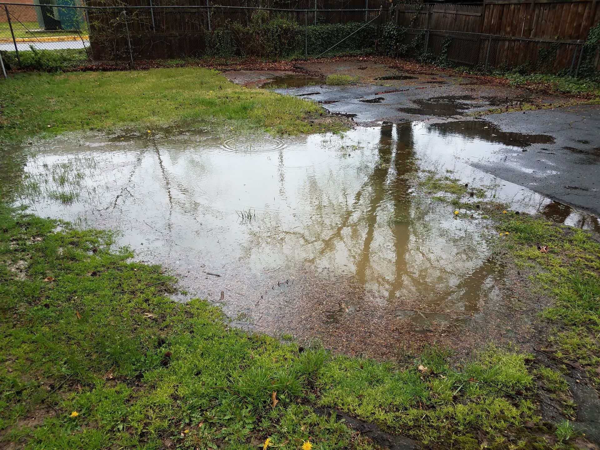 Man Laying a Roll of Turf