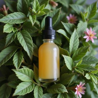 Amber liquid in a glass dropper bottle, surrounded by green leaves and pink flowers.