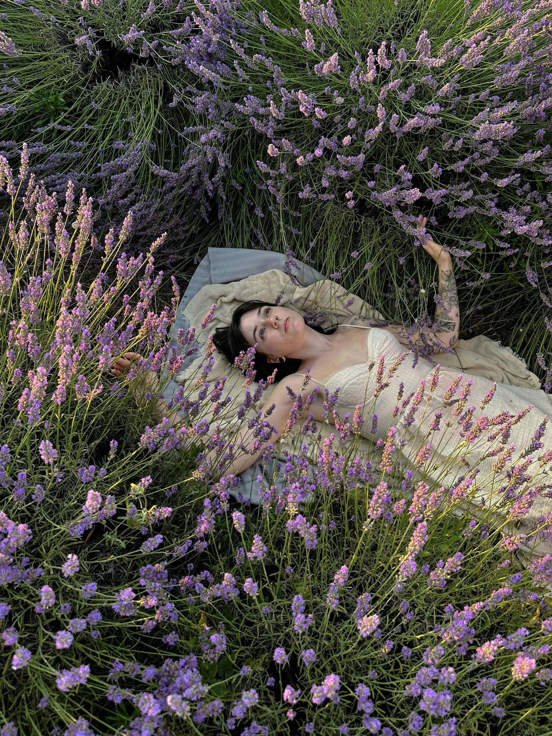 Woman in white dress reclining on blanket in lavender field.
