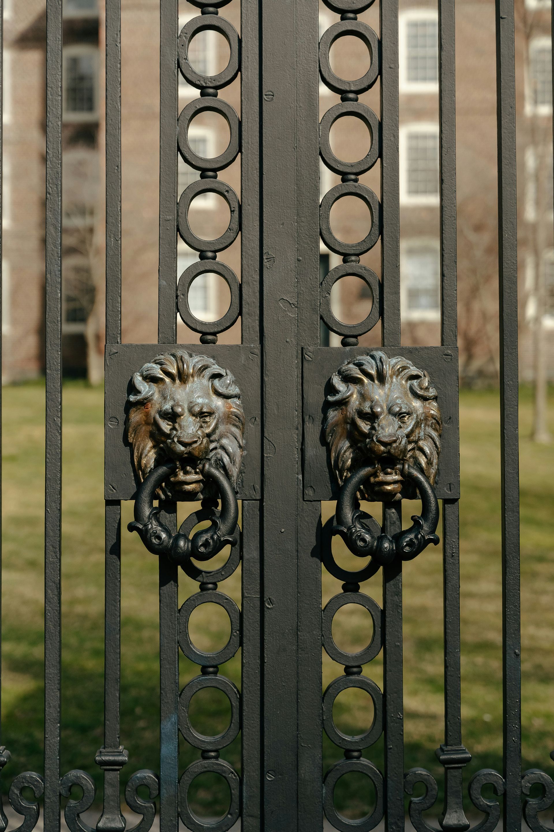 Black wrought iron gate with lion-head door knockers and circular design, grass and building background.