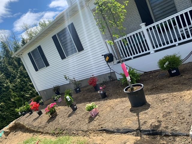 Clean House Frontyard — Mahopac, NY — Local Boys