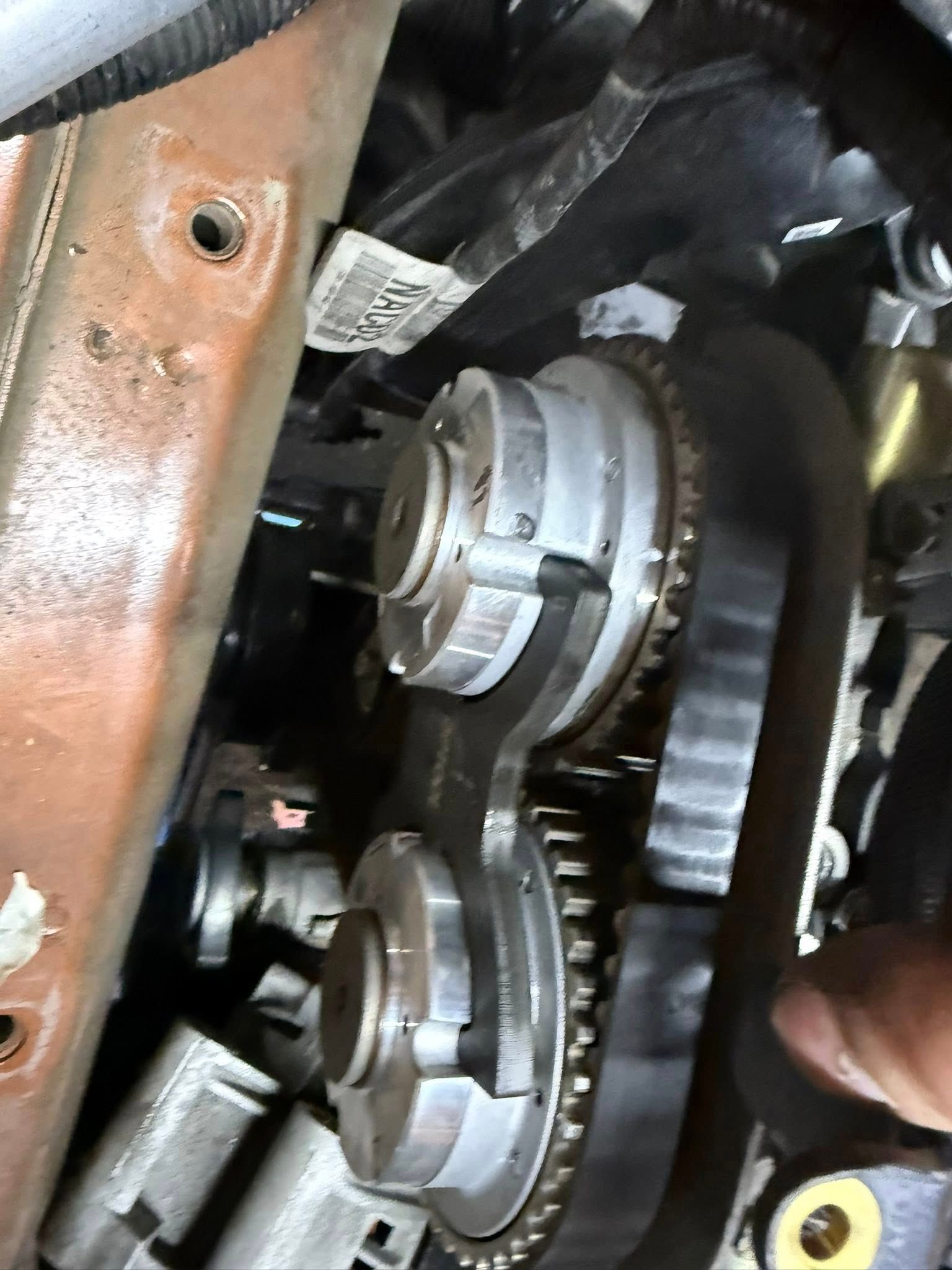 A close-up view of an engine's internal timing belt mechanism with two circular cam gears connected by a metal bracket.