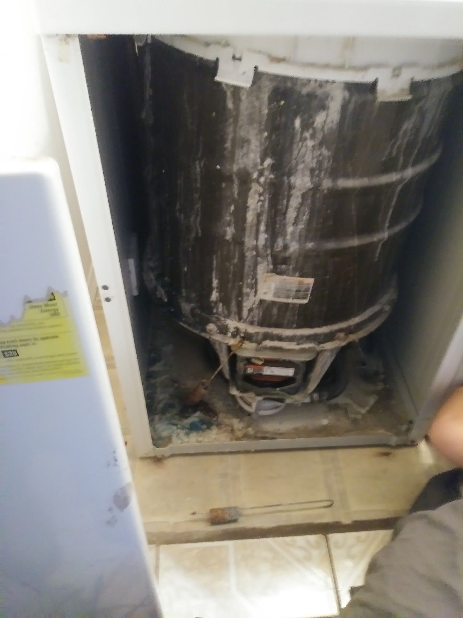 Open washing machine, dirty drum, and interior covered in residue.