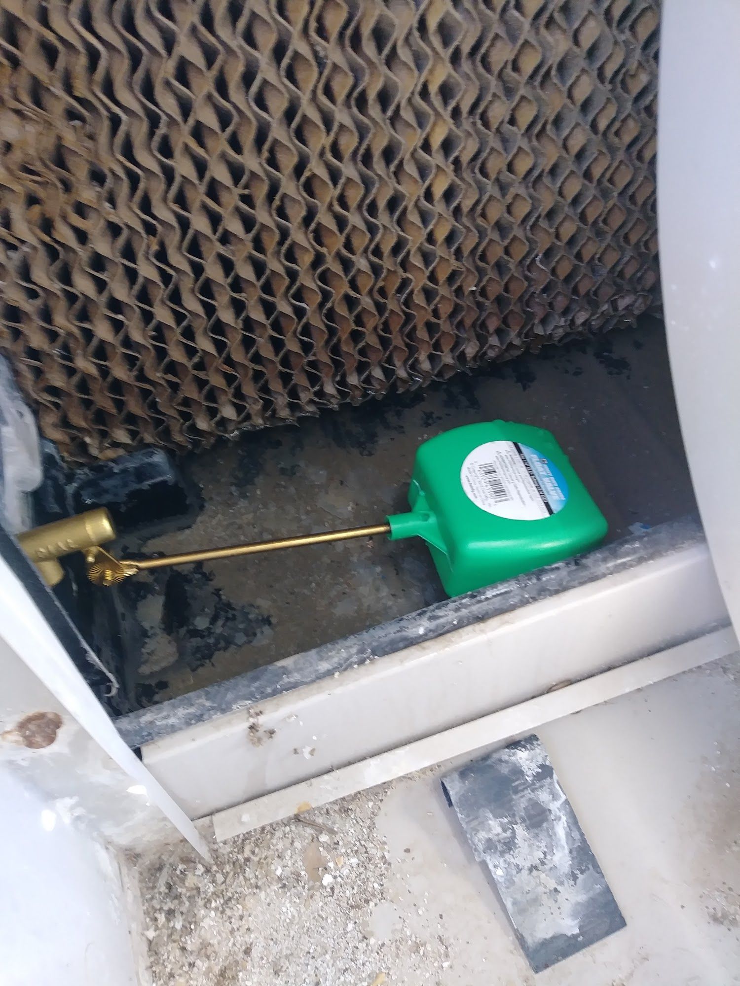 Green float valve inside a swamp cooler, next to a brown honeycomb filter.