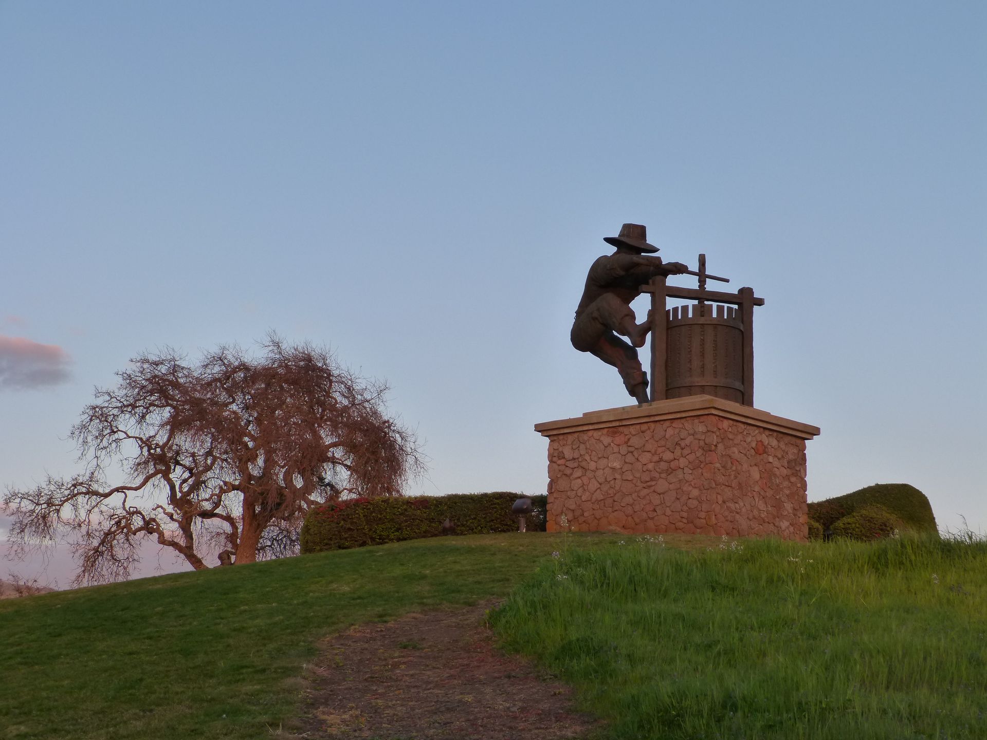 Napa valley cabernet bordeaux