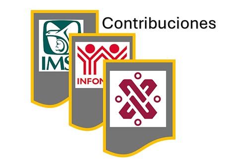 ACF SERVICIOS PRO EMPRESARIALES SA DE CV