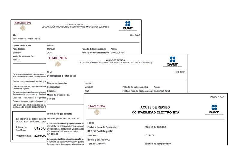 ACF SERVICIOS PRO EMPRESARIALES SA DE CV