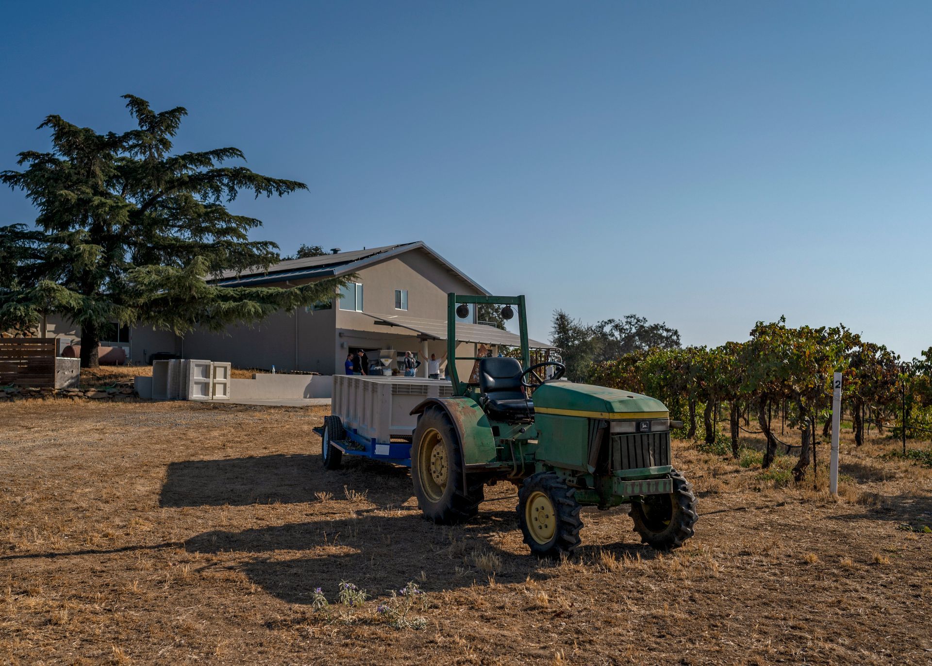 A green tractor sits next to grape vines