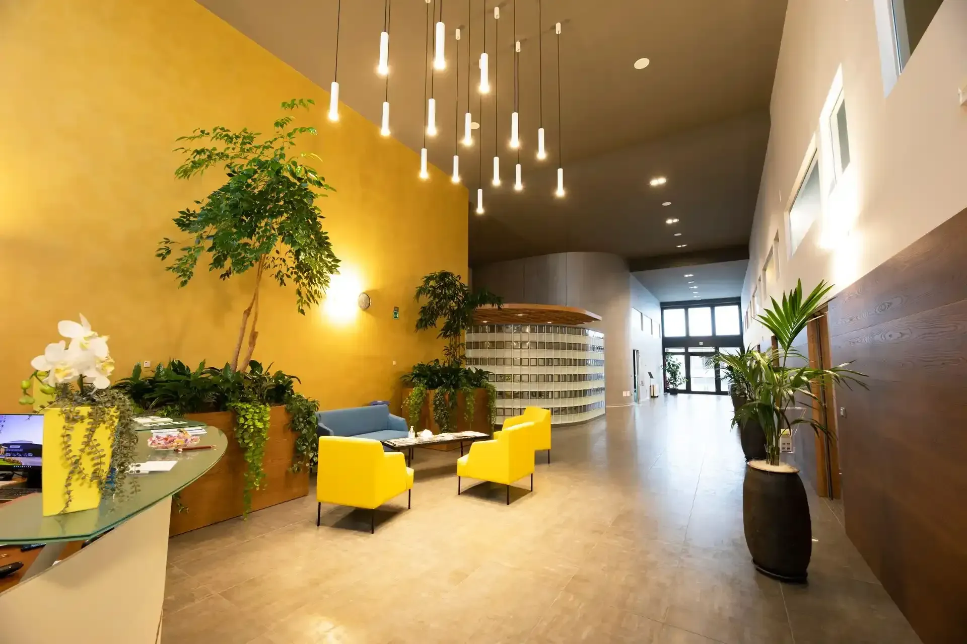 Moderna hall con parete decorativa gialla, piante, sedute e lampade a sospensione.