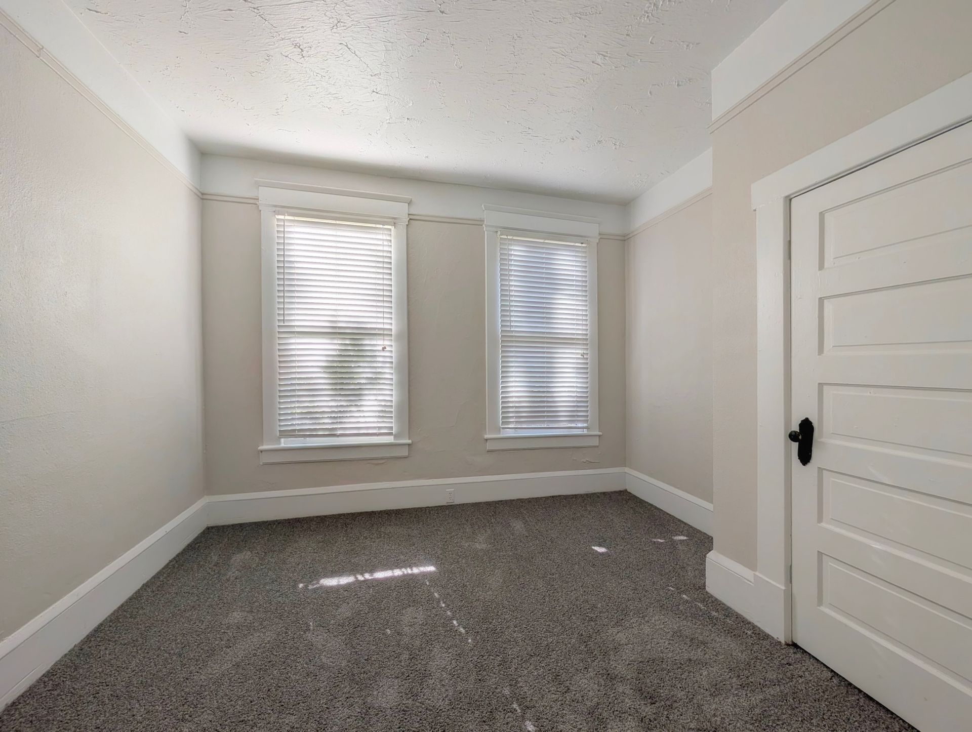 Empty room with two windows, a closed door, and gray carpet. Walls are painted light beige.
