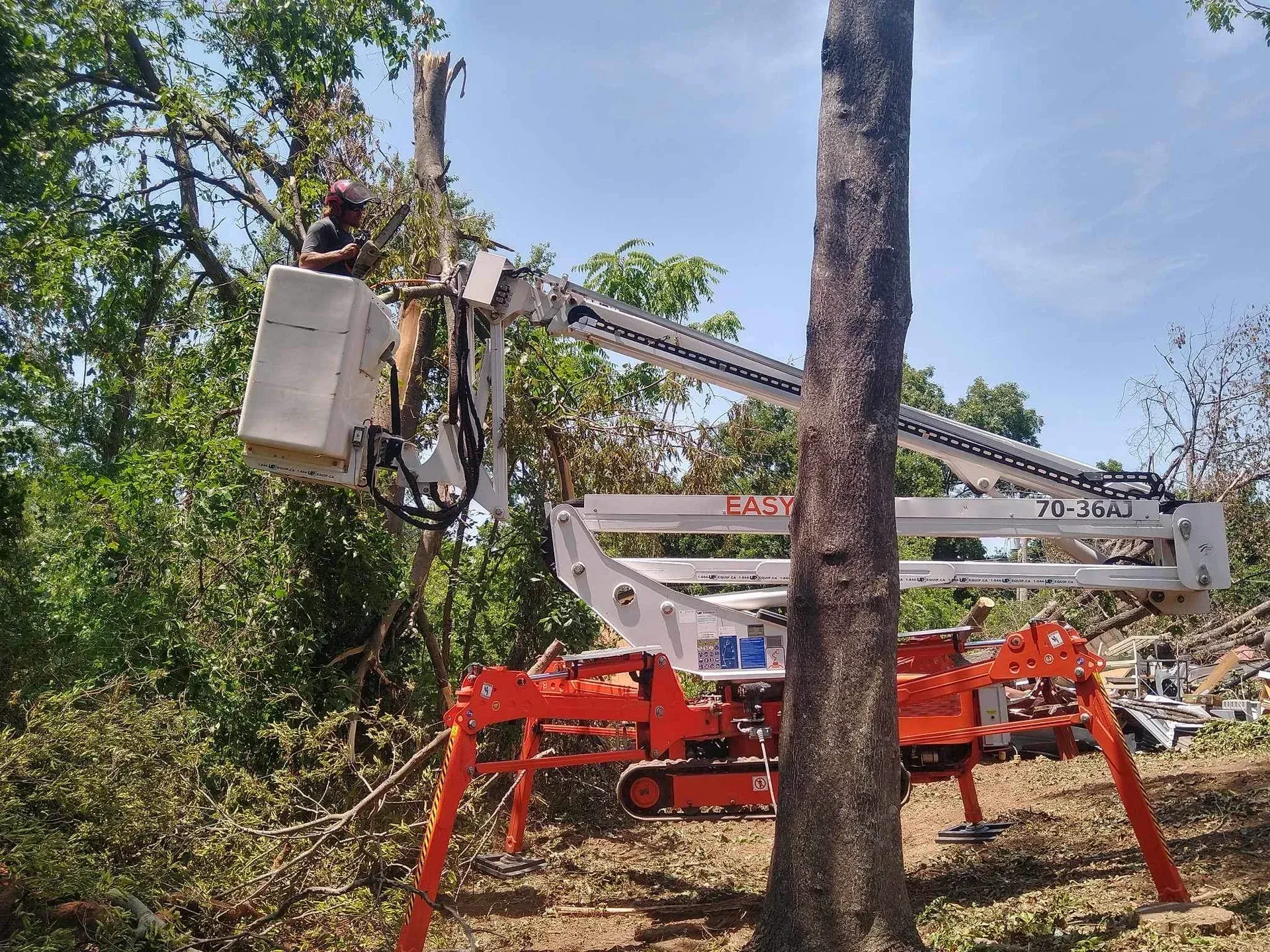 Bucket lift beside a tree in a wooded area, with a worker in the raised basket and red support legs.