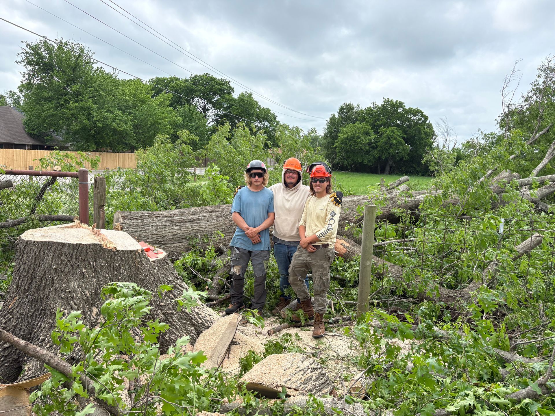 Three workers in hard hats stand beside a fallen tree in a storm-damaged area.