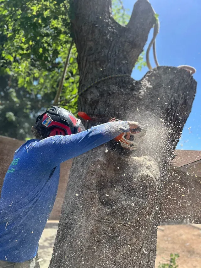 Worker using a chainsaw to cut a tree trunk, with sawdust spraying outdoors.