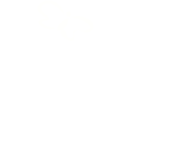 Adolfo's Landscaping & Irrigation LLC