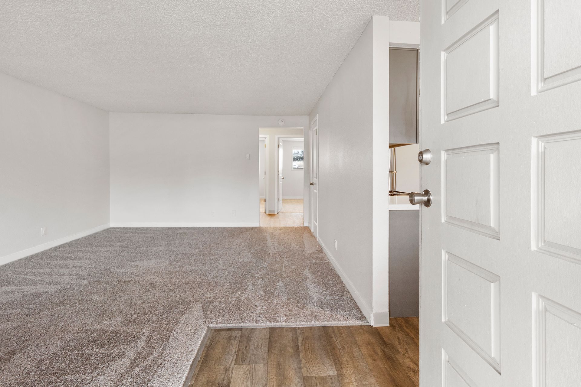 An empty living room with a carpeted floor and a white door.