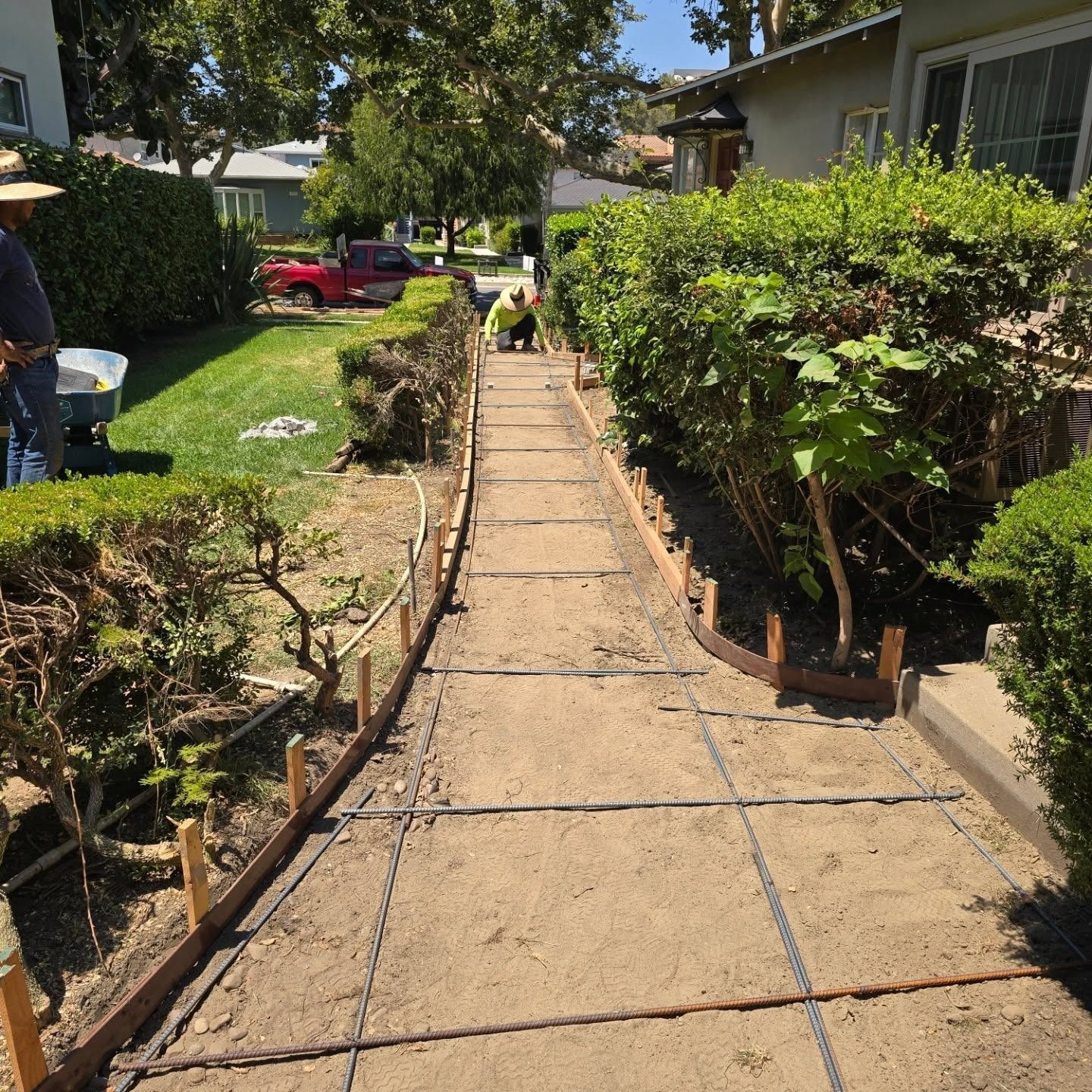 Workers constructing a concrete walkway. Wooden forms and rebar frame the path between trimmed bushes and a lawn.