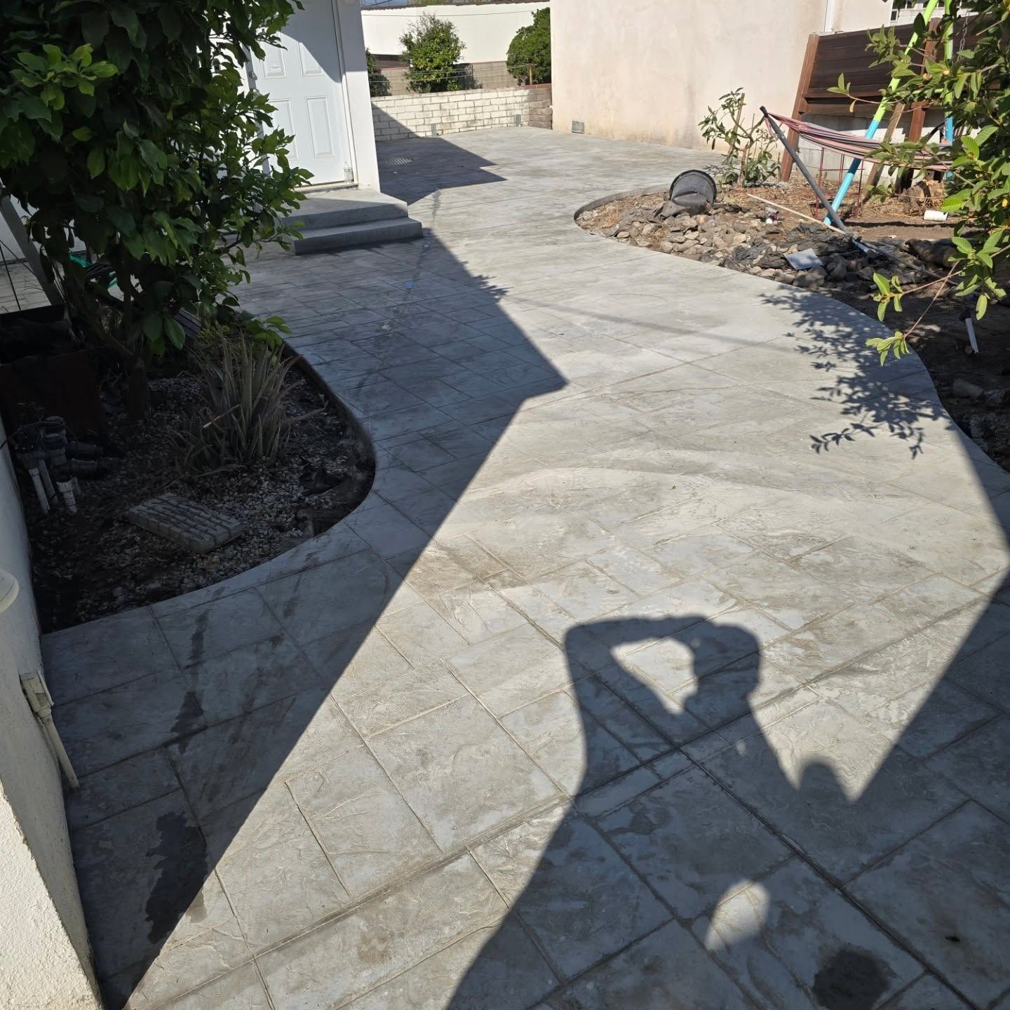 Concrete pathway with shadows, sunlight, and small trees.