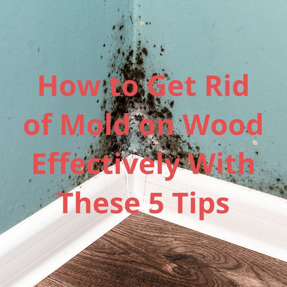 How to Get Rid of Mold on Wood Effectively With These 5 Tips