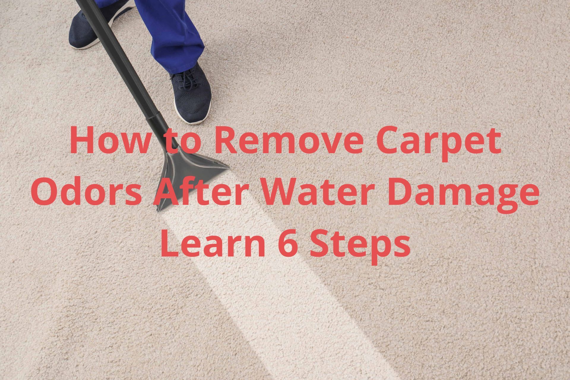 How to Remove Carpet Odors After Water Damage Learn 6 Steps
