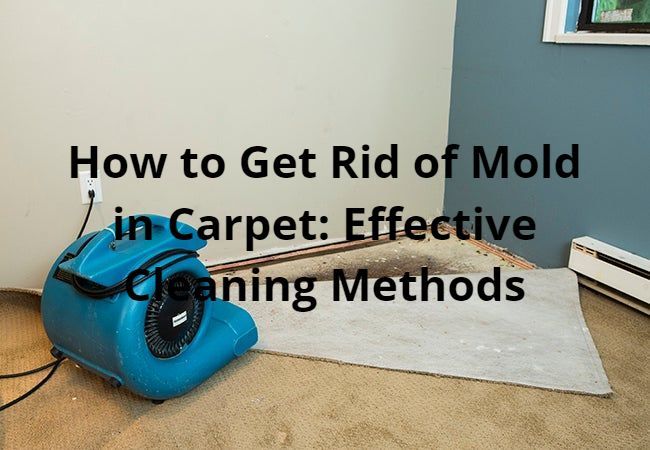 How to Get Rid of Mold in Carpet: Effective Cleaning Methods