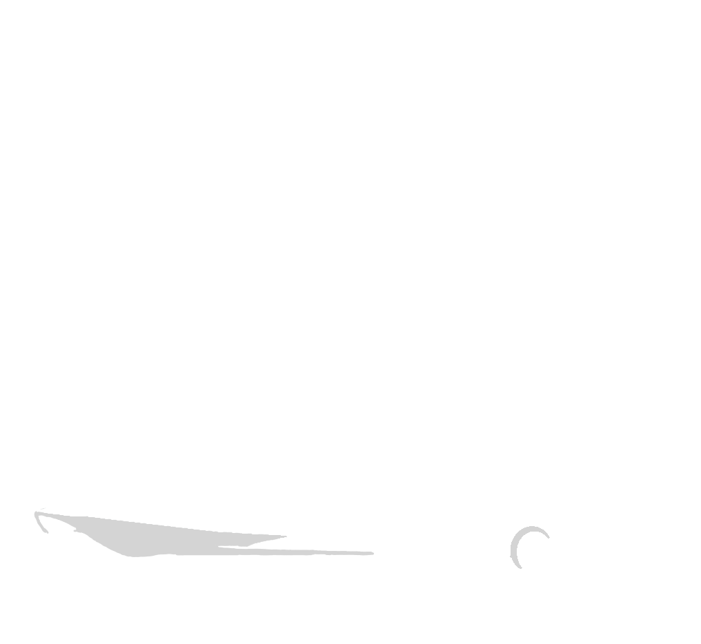 Hickory Auto & Marine Detailing logo