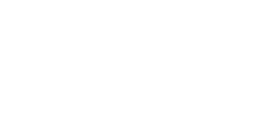 F.I.R.M Logo