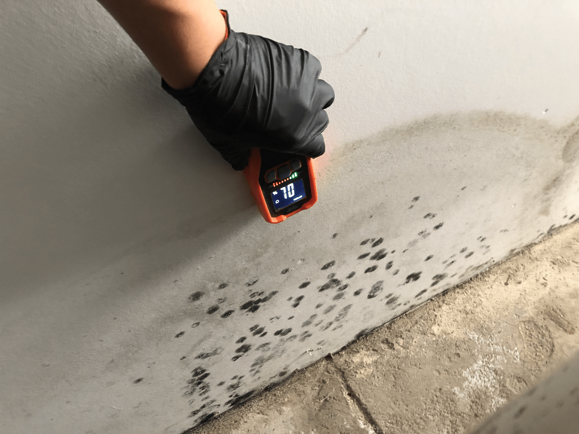 A person wearing black gloves is measuring the amount of mold on a wall.