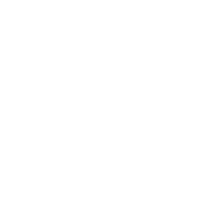 The Futon Shop