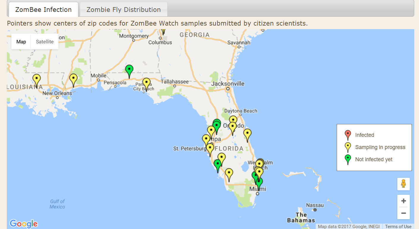 ZomBee Watch Florida Map