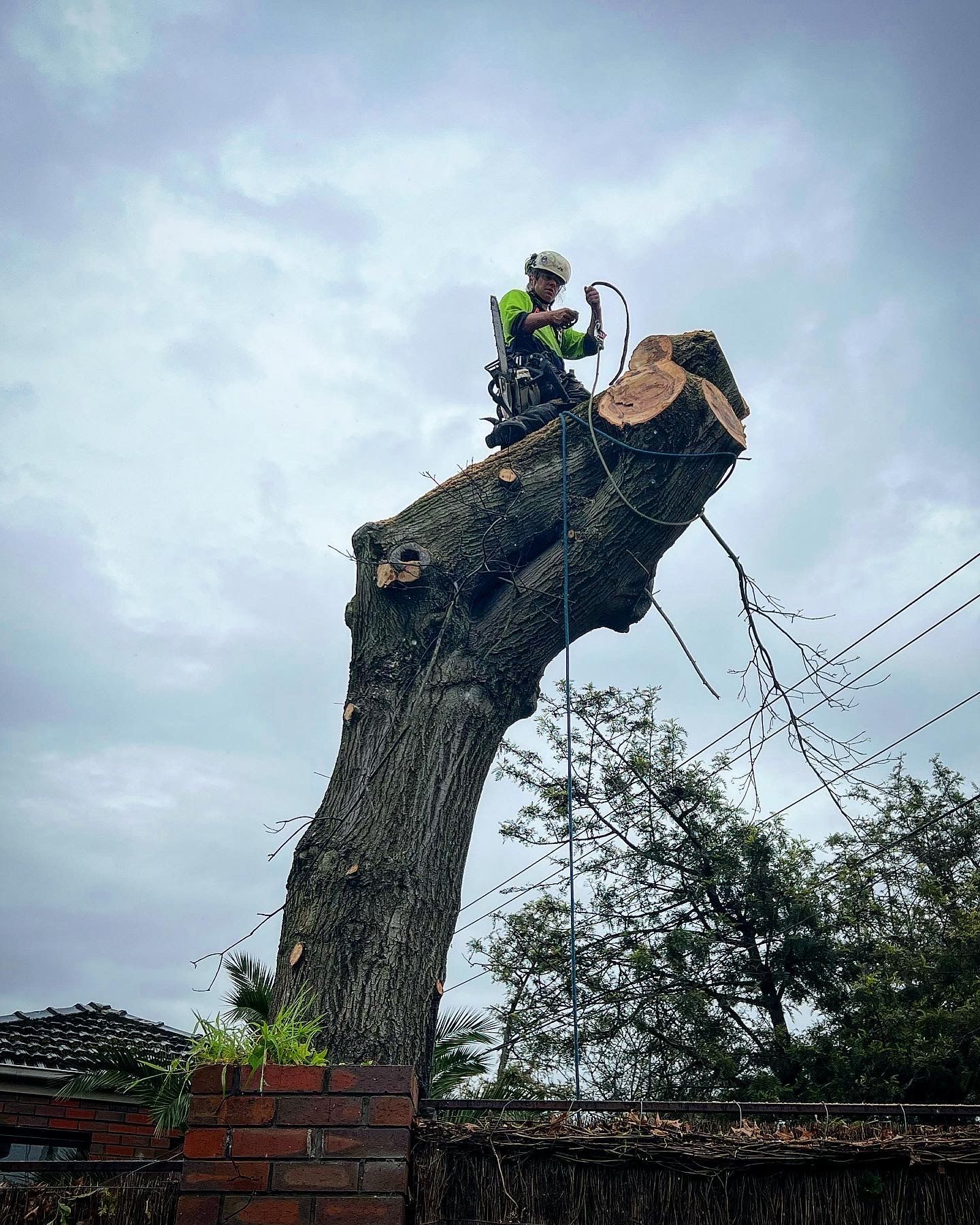 Tree Emergency Works — Melbourne, VIC — Precise Tree Services