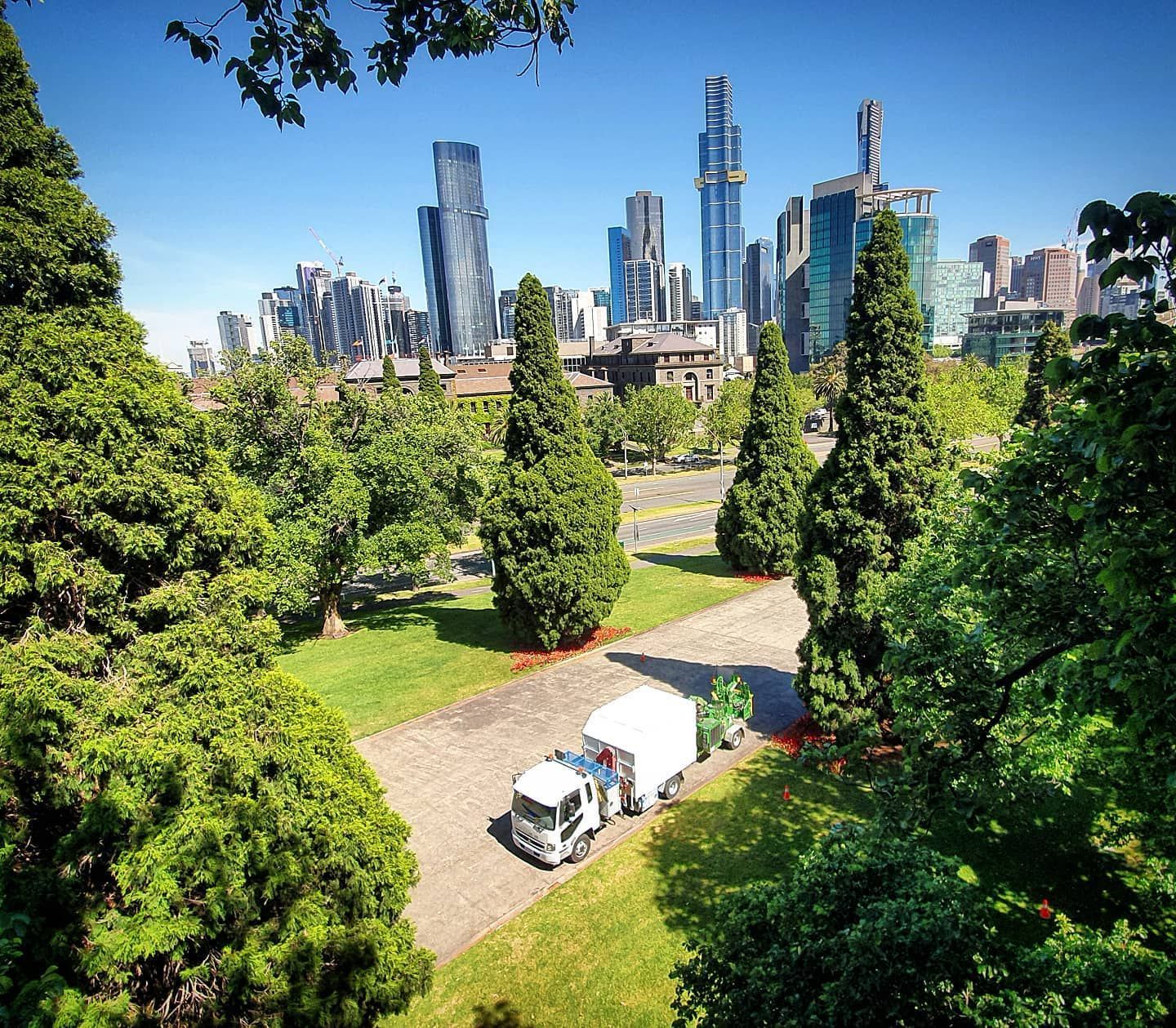 Professional Tree Cutting Services — Melbourne, VIC — Precise Tree Services